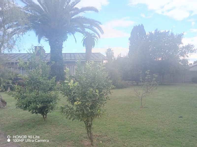 A very spacious yard turn it into your dreams - Photo 8