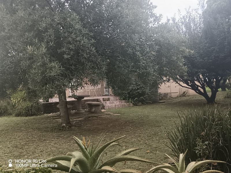 A very spacious yard turn it into your dreams - Photo 7