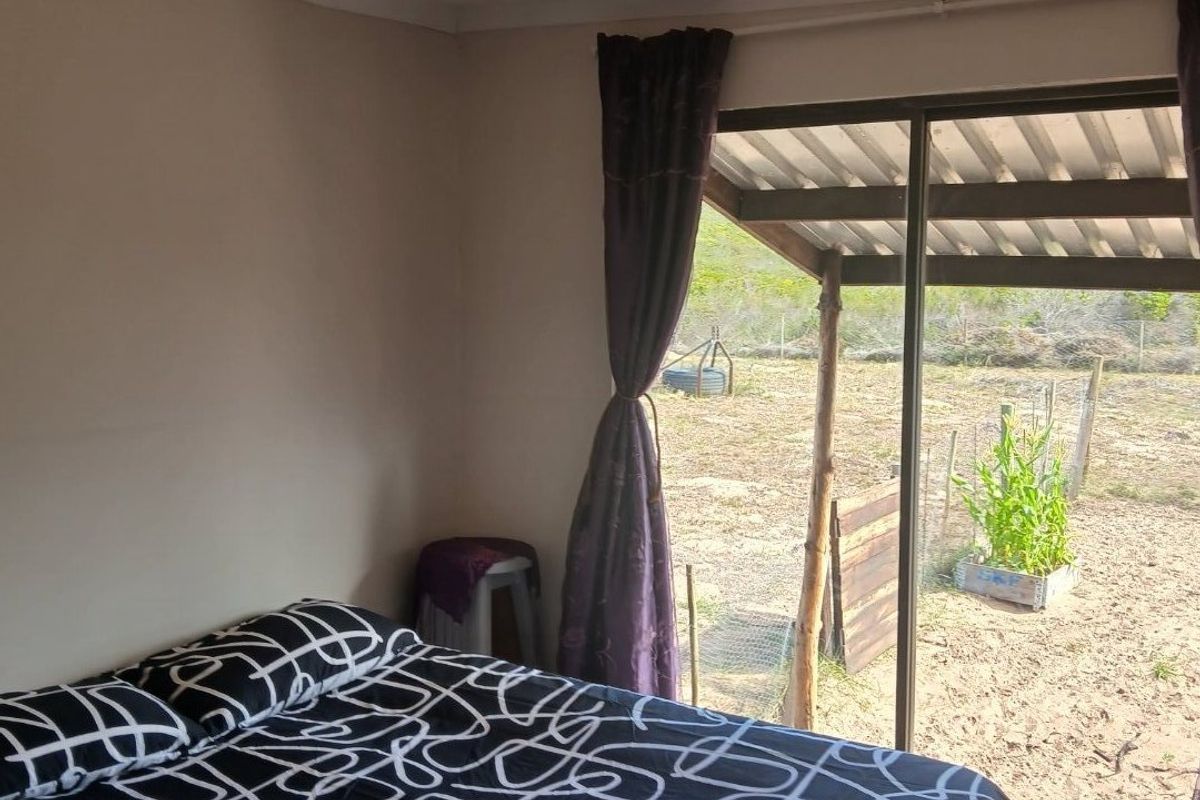 Off-Grid Property for Sale outside of Albertinia - Photo 4