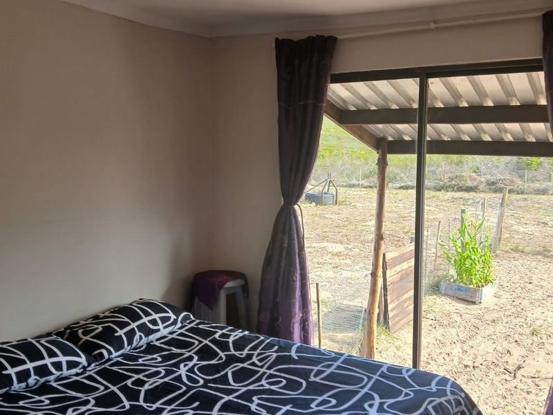 Off-Grid Property for Sale outside of Albertinia - Photo 4