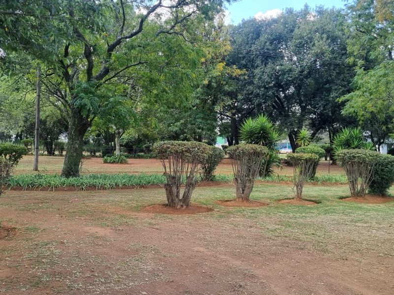 1.6 HA Plot for Sale in Rietkol Sundra - Photo 9