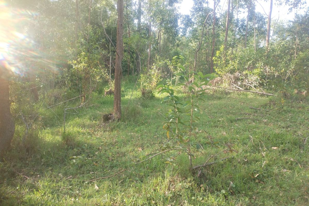 Vacant land for sale in Dlangezwa,Ongoye. - Photo 4