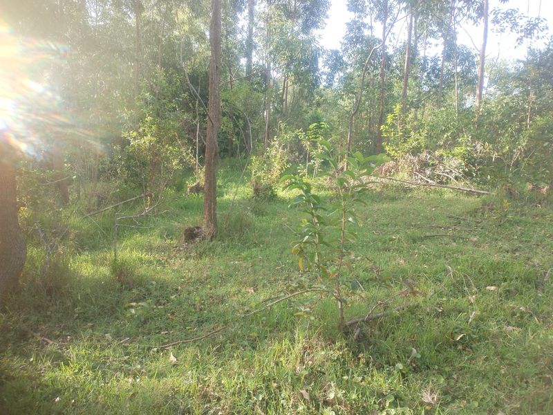 Vacant land for sale in Dlangezwa,Ongoye. - Photo 4