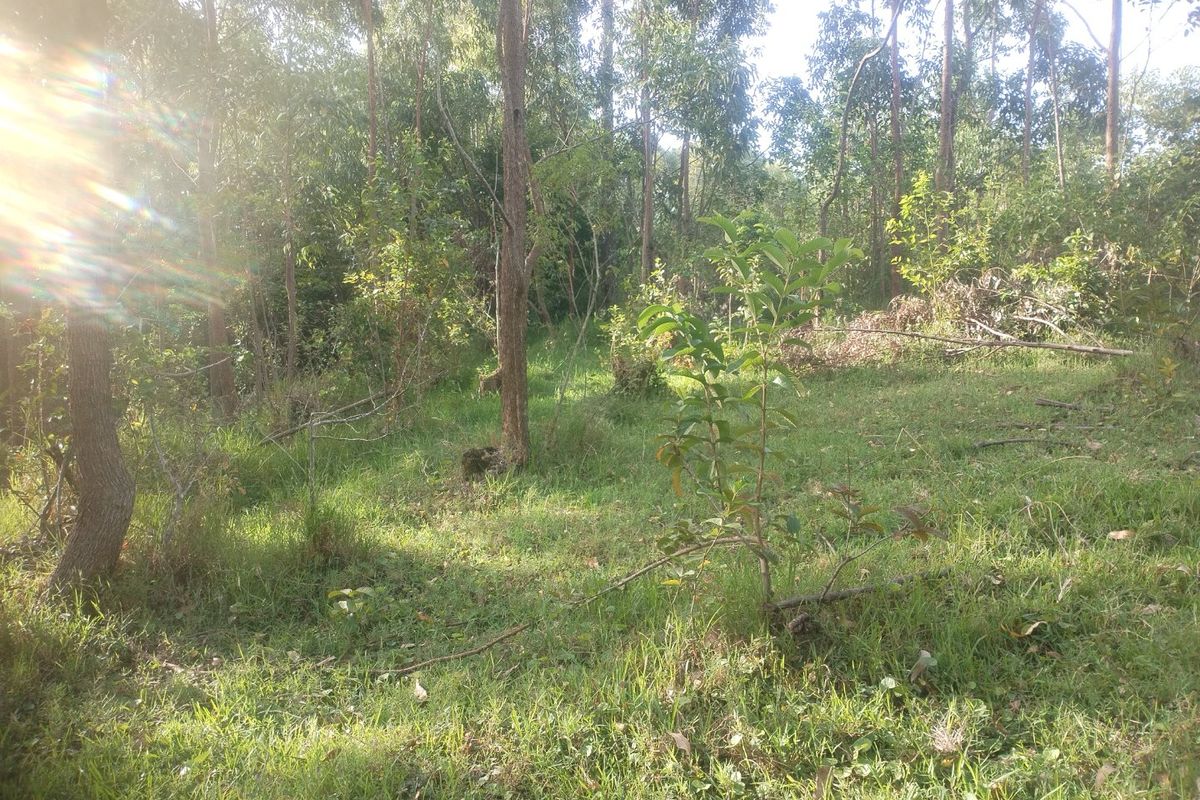 Vacant land for sale in Dlangezwa,Ongoye. - Photo 3