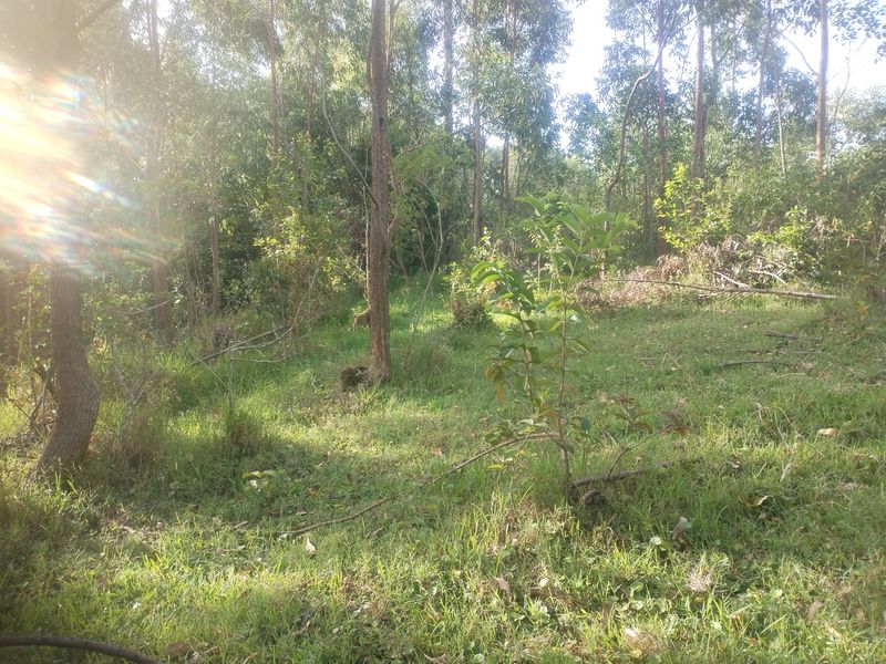 Vacant land for sale in Dlangezwa,Ongoye. - Photo 3