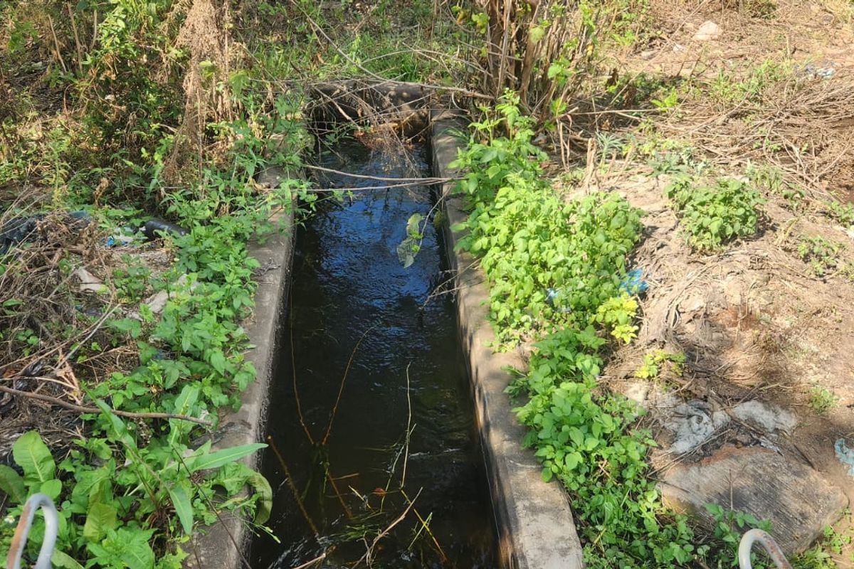 A concrete irrigation channel on the farm property, currently requiring maintenance due to overgrown vegetation and debris.