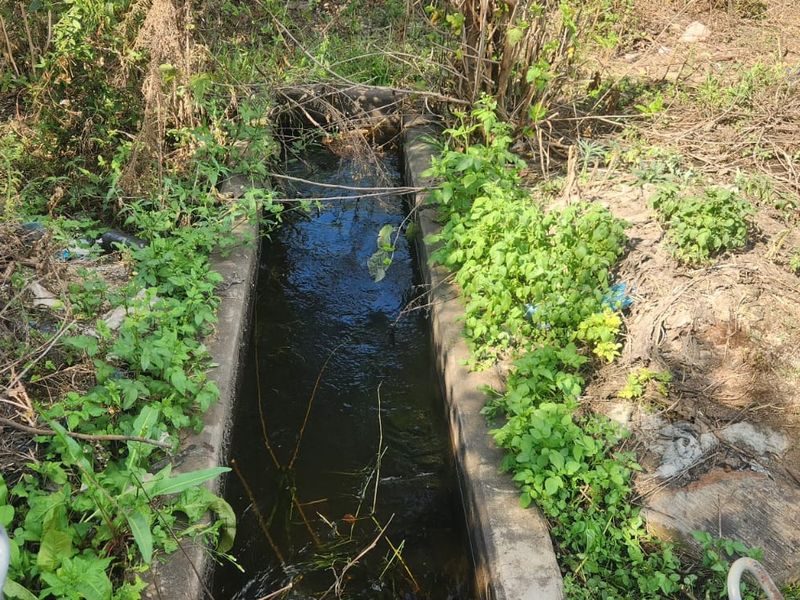 A concrete irrigation channel on the farm property, currently requiring maintenance due to overgrown vegetation and debris.