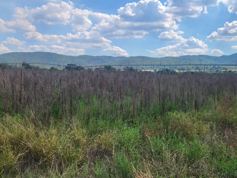 Expansive agricultural land featuring a center pivot irrigation system with scenic mountain views in the background.