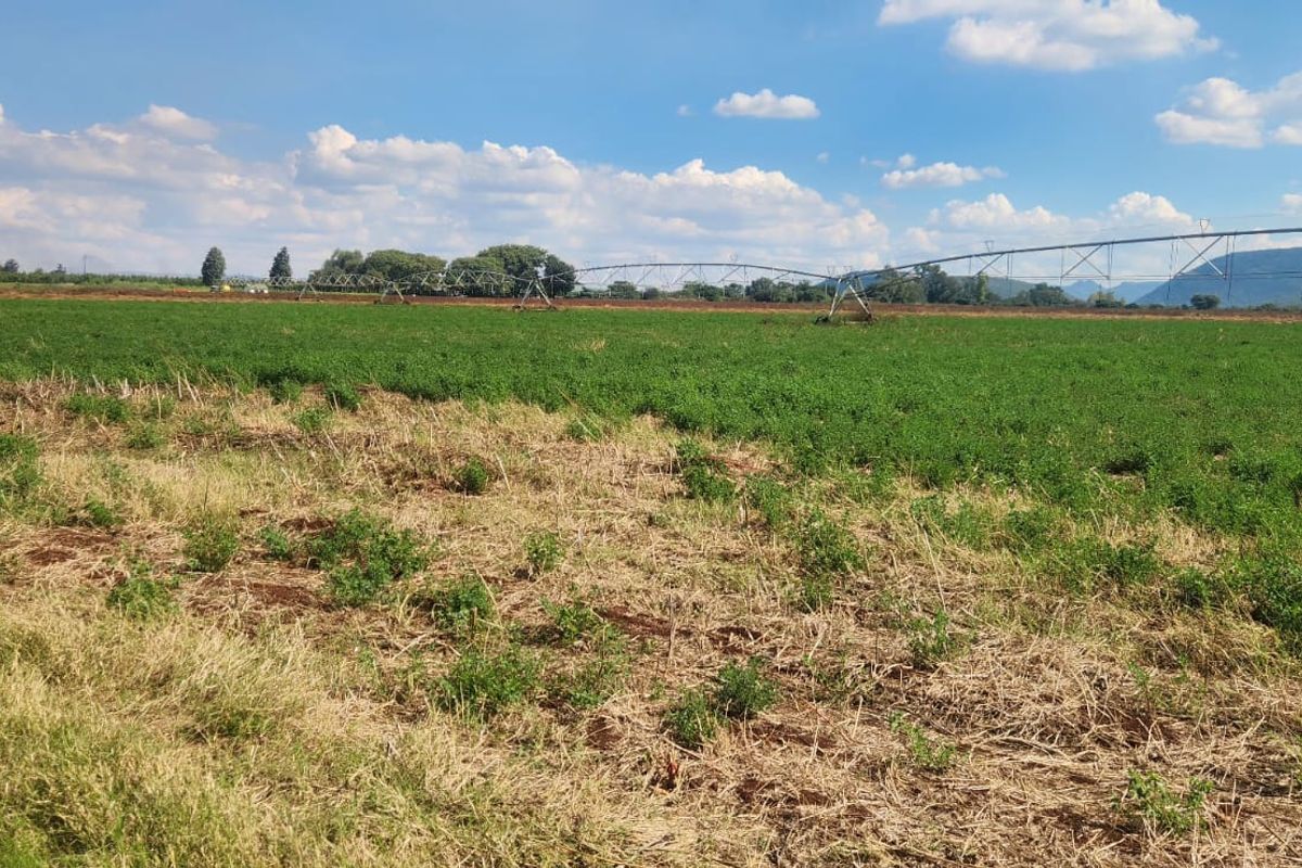 Expansive agricultural farmland featuring a functional center pivot irrigation system set against a scenic mountain backdrop.