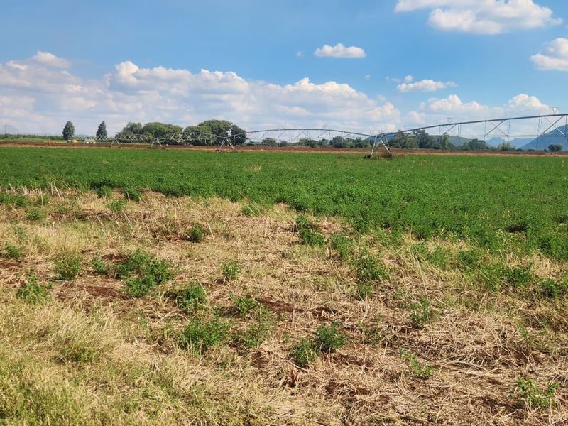 Expansive agricultural farmland featuring a functional center pivot irrigation system set against a scenic mountain backdrop.
