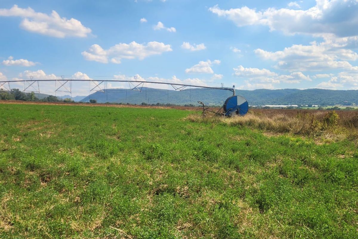 Expansive agricultural farmland featuring a functional center pivot irrigation system set against a scenic mountain backdrop.