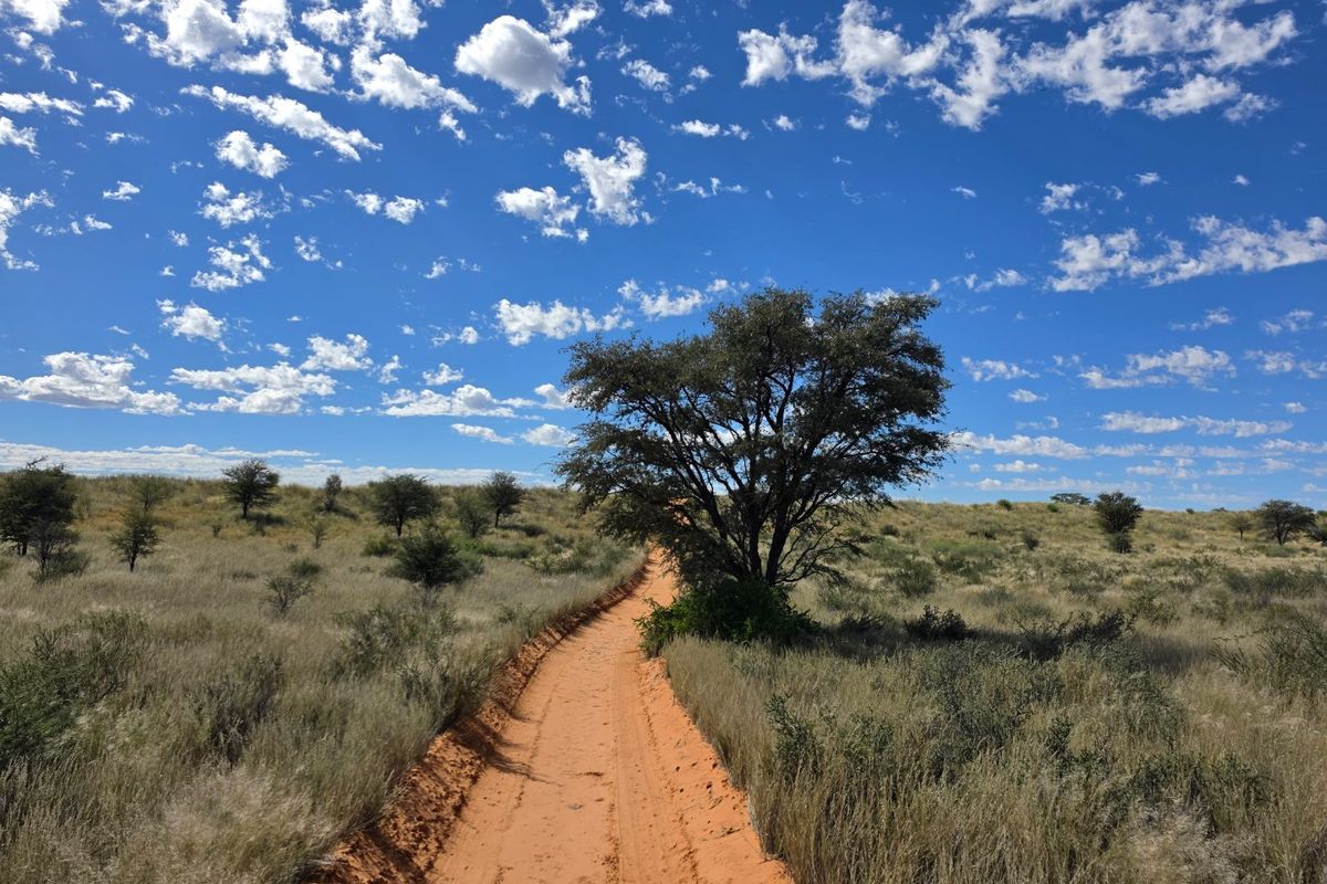Exceptional Kalahari Farm – Golden Mile, Molopo River - Photo 4
