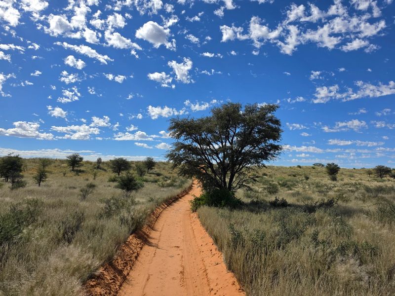 Exceptional Kalahari Farm – Golden Mile, Molopo River - Photo 4