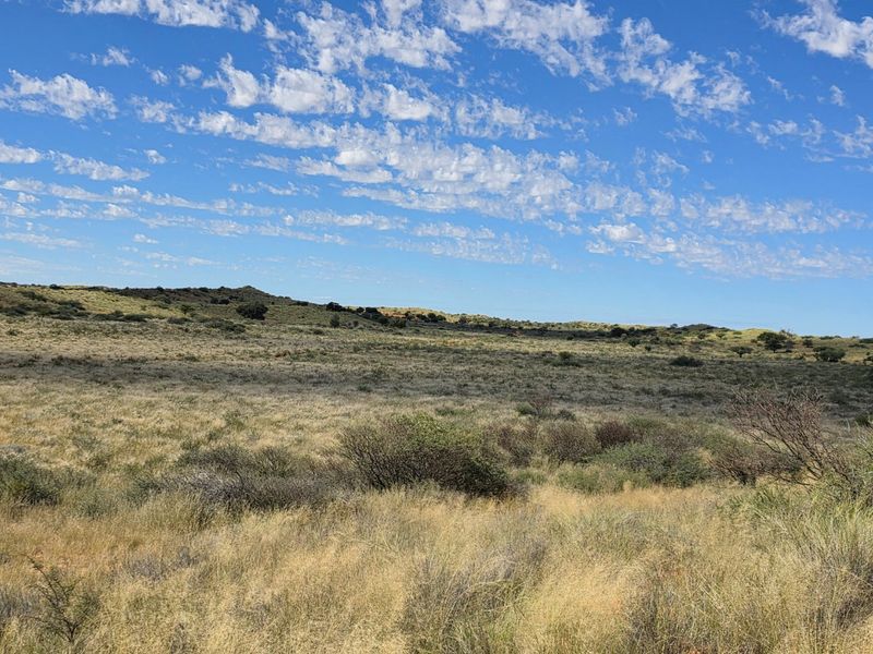 Exceptional Kalahari Farm – Golden Mile, Molopo River - Photo 10