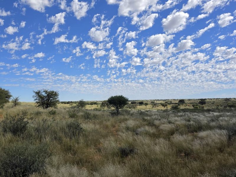 Exceptional Kalahari Farm – Golden Mile, Molopo River - Photo 8