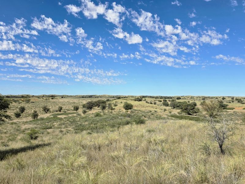 Exceptional Kalahari Farm – Golden Mile, Molopo River - Photo 7