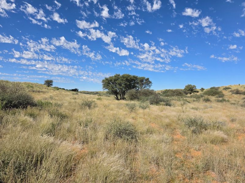 Exceptional Kalahari Farm – Golden Mile, Molopo River - Photo 9