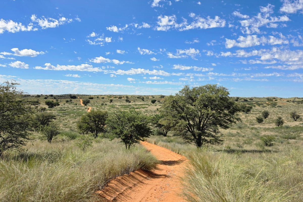 Exceptional Kalahari Farm – Golden Mile, Molopo River - Photo 3