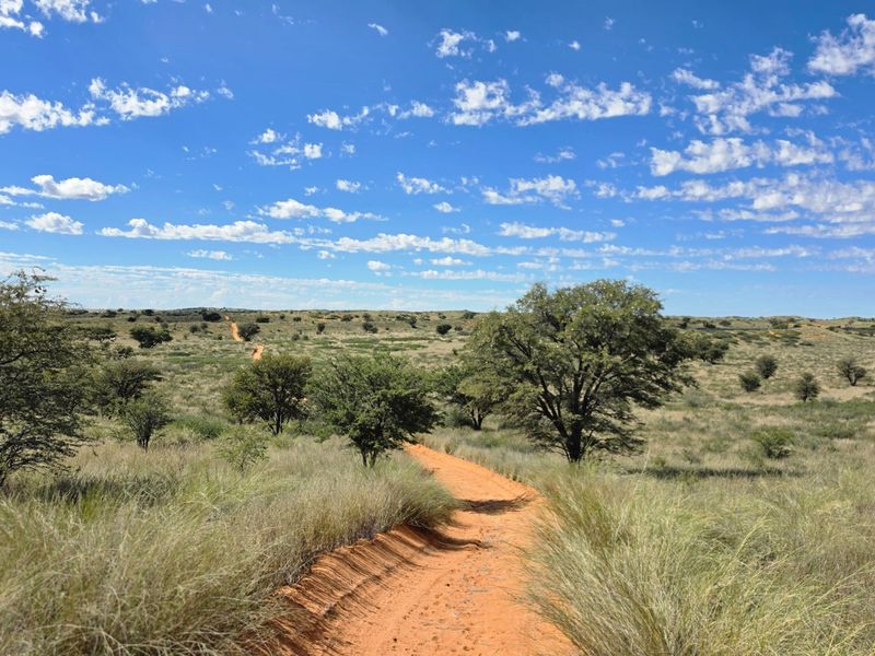 Exceptional Kalahari Farm – Golden Mile, Molopo River - Photo 3