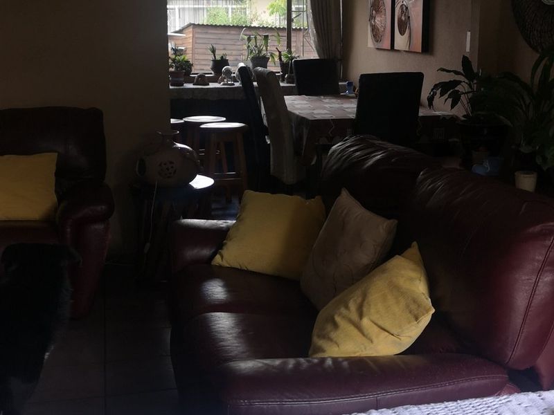 A Huge property with 3 Bedrooms, 2 Bathroom, Cottage plus pool. - Photo 8