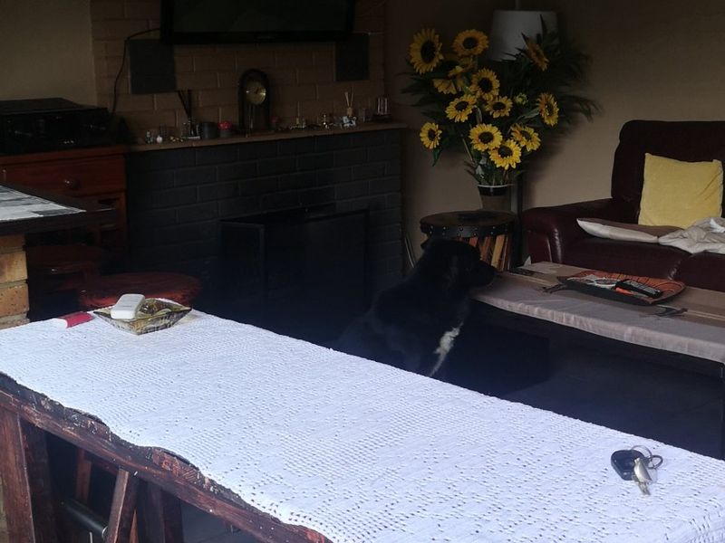 A Huge property with 3 Bedrooms, 2 Bathroom, Cottage plus pool. - Photo 7