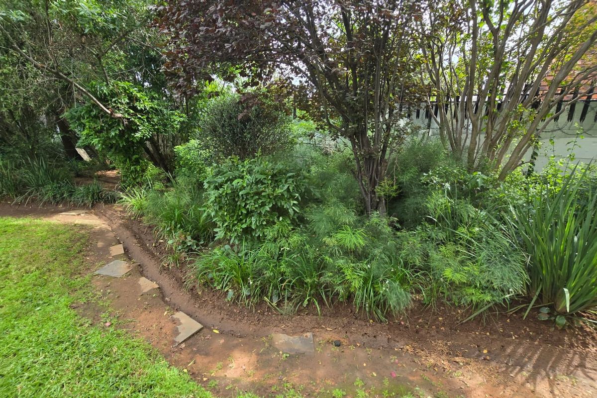 Really spacious and tastefully upgraded home in a quiet street. Families will thrive here. - Photo 3
