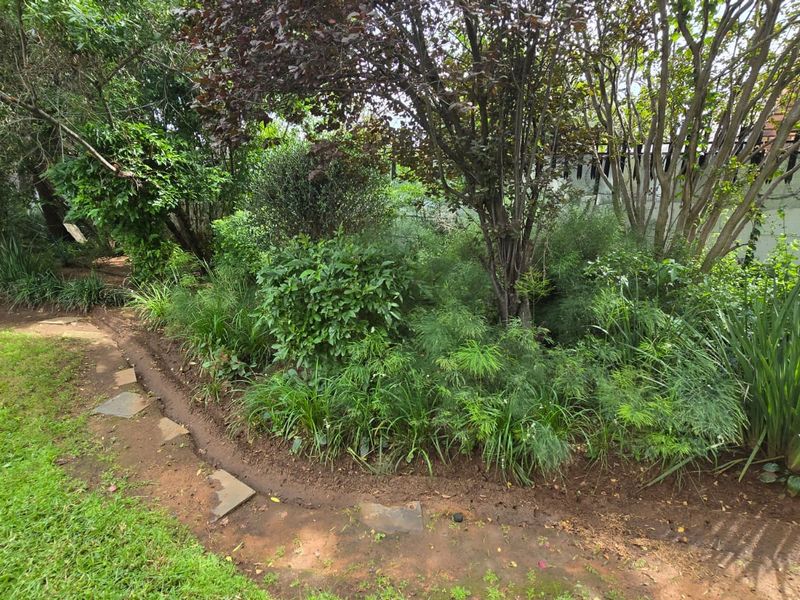 Really spacious and tastefully upgraded home in a quiet street. Families will thrive here. - Photo 3