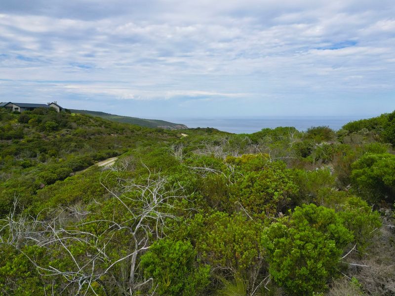 Large Plot with Endless Views - Photo 6