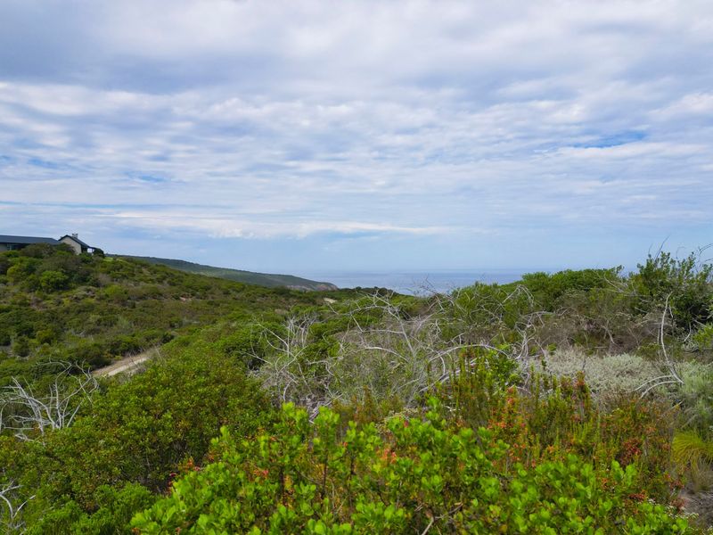 Large Plot with Endless Views - Photo 5