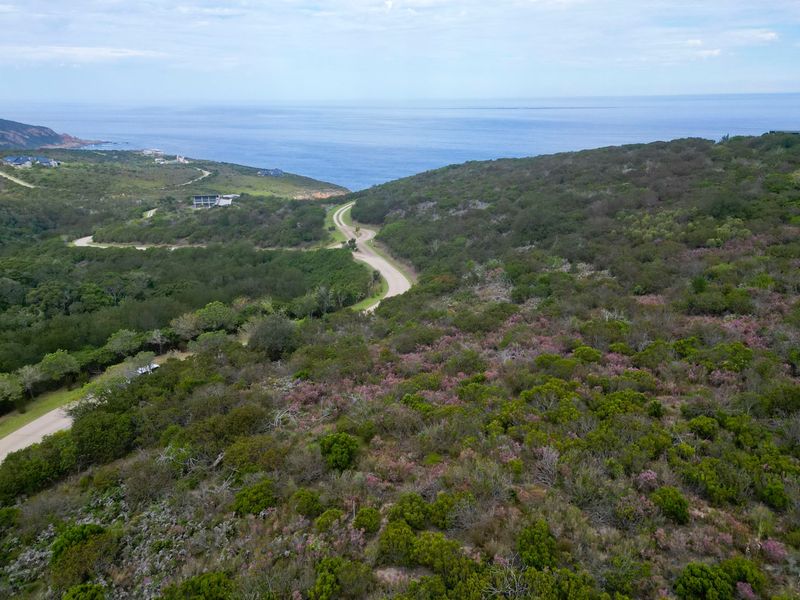 Elevated and Private - Photo 2