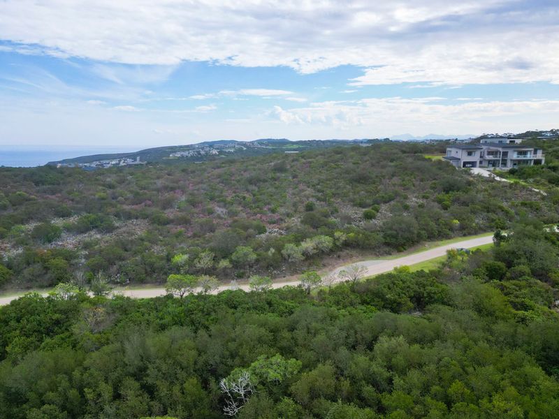 Elevated and Private - Photo 3