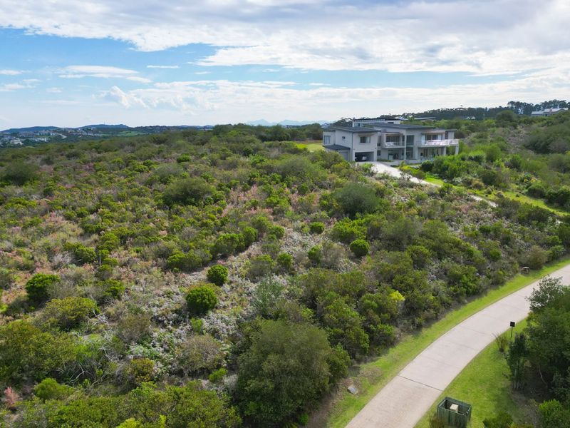 Elevated and Private - Photo 8