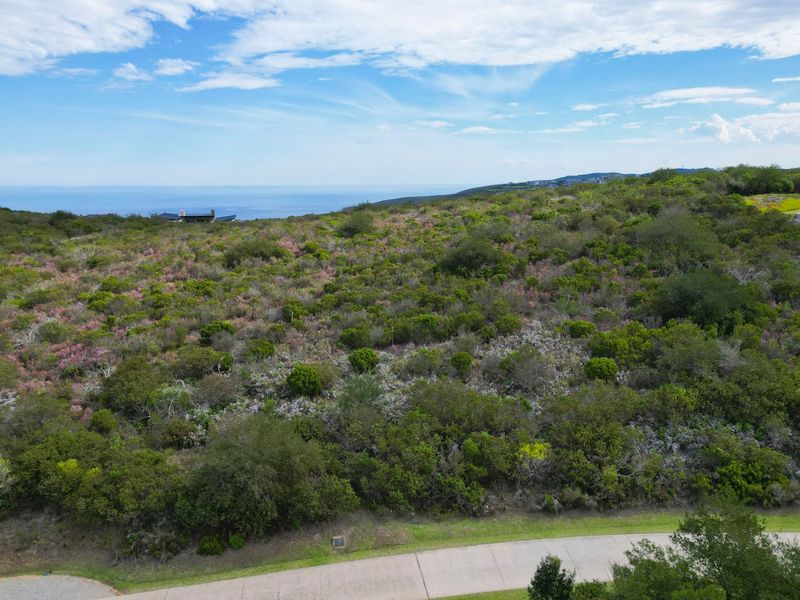 Elevated and Private - Photo 9