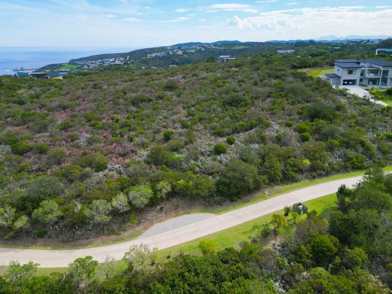 Elevated and Private - Photo 7