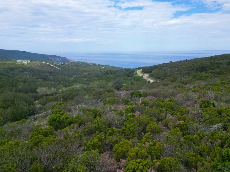 Elevated and Private - Photo 5