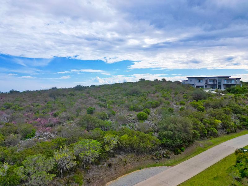 Elevated and Private - Photo 4