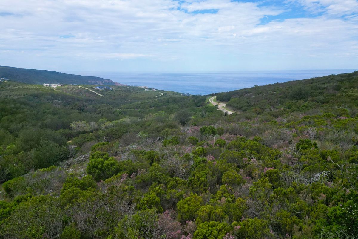 An aerial view of a vacant residential plot featuring natural coastal vegetation and distant ocean views.