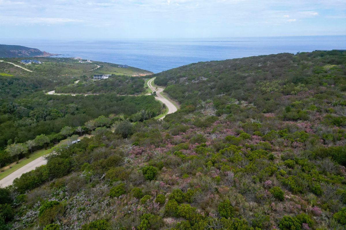 An aerial view of the vacant residential land featuring native coastal vegetation and access to a paved road with scenic ocean views.