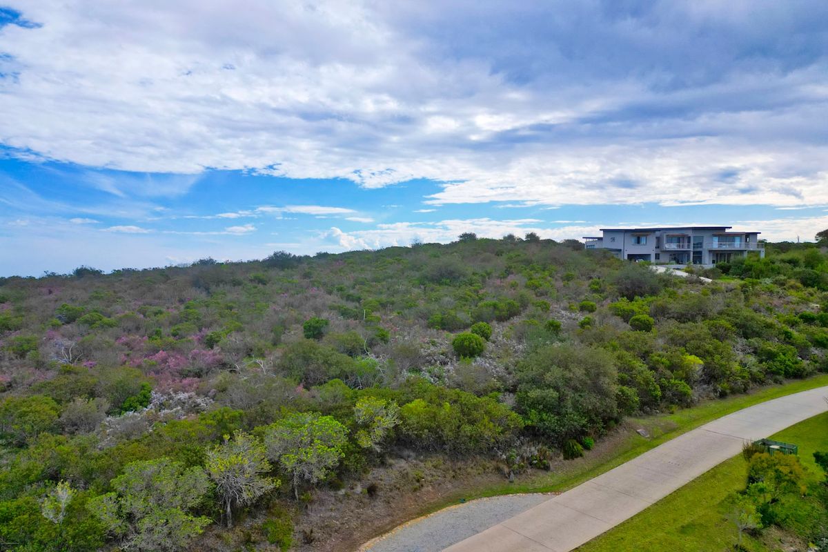 Aerial view of a vacant residential plot featuring native vegetation and direct access to a paved road.