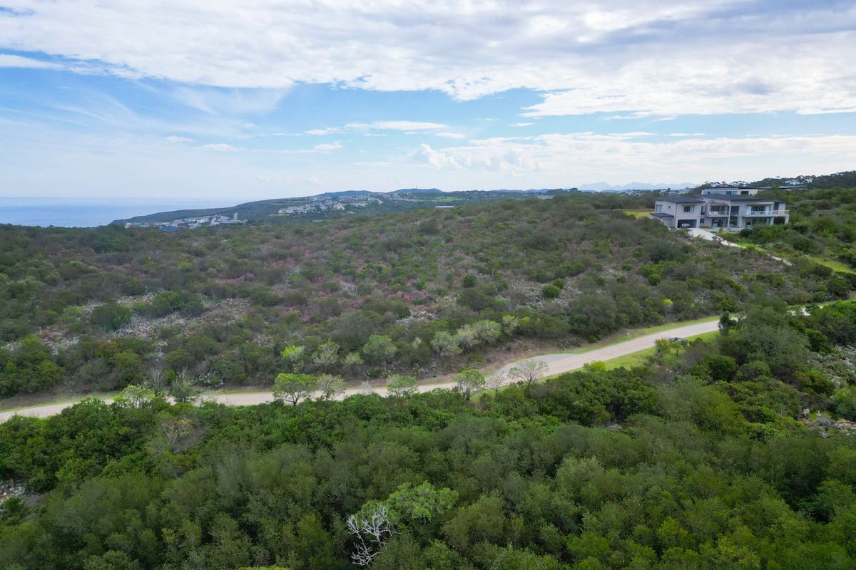 An aerial view of a vacant residential plot featuring natural coastal vegetation, surrounding greenery, and access to a paved road.