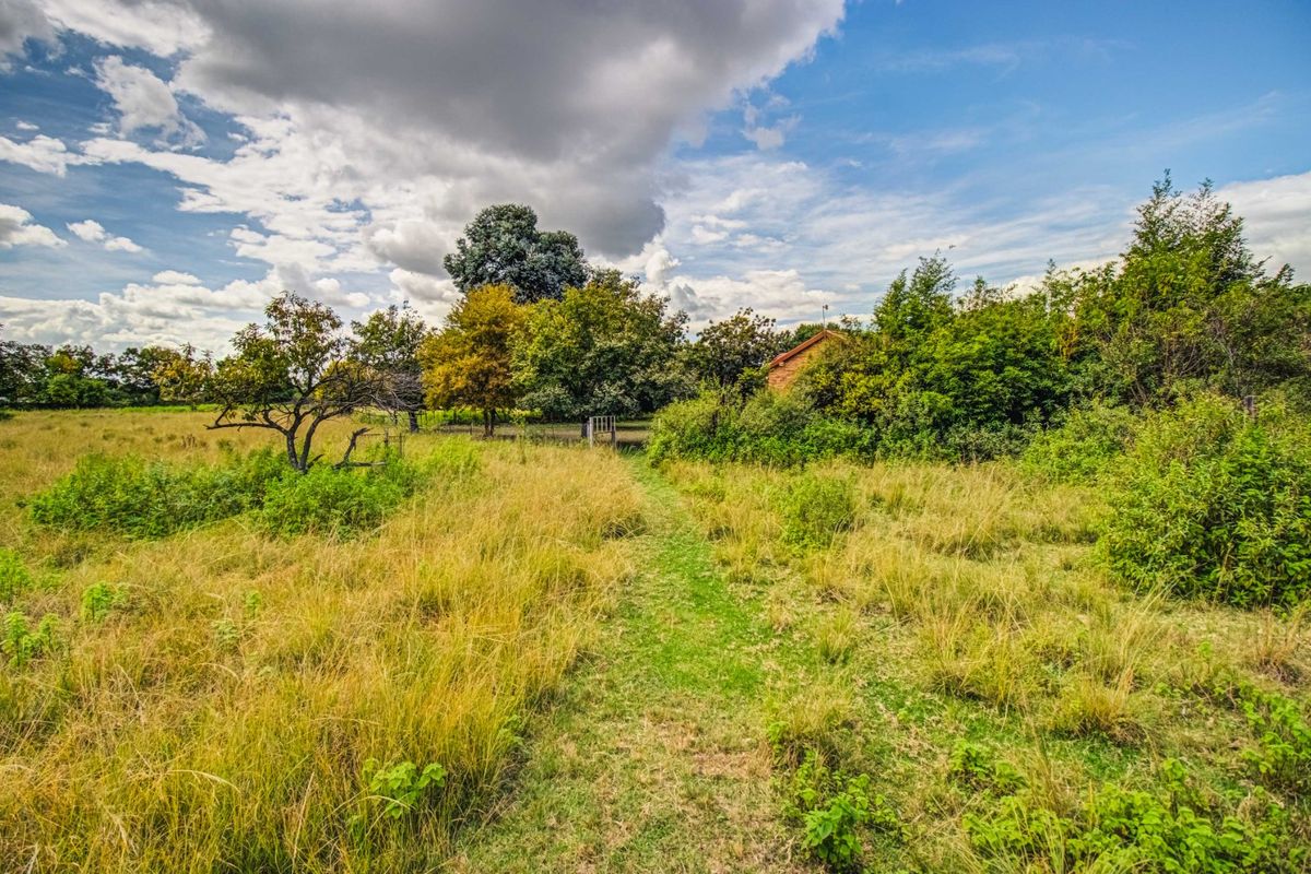 Grand Opportunity Awaits – Affordable Small Holding! - Photo 4