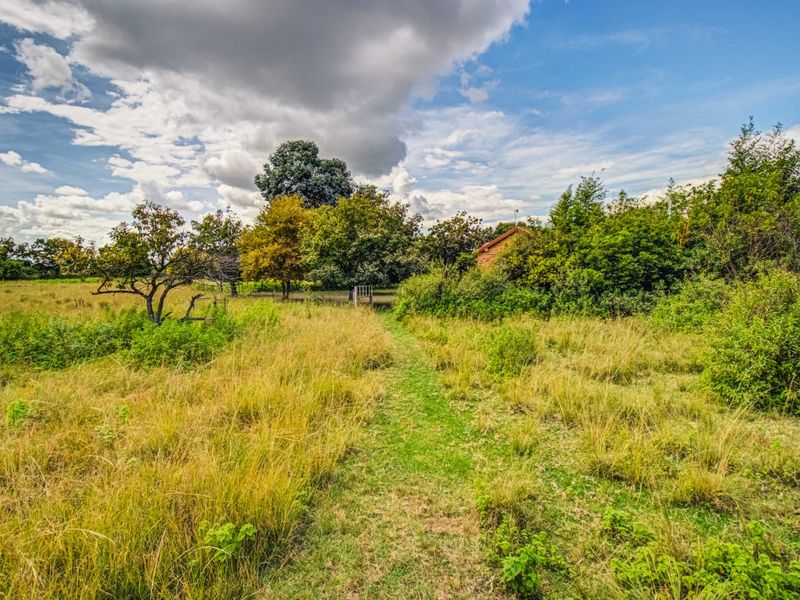 Grand Opportunity Awaits – Affordable Small Holding! - Photo 4