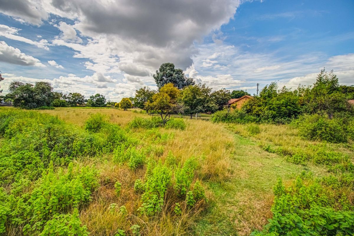 Grand Opportunity Awaits – Affordable Small Holding! - Photo 3