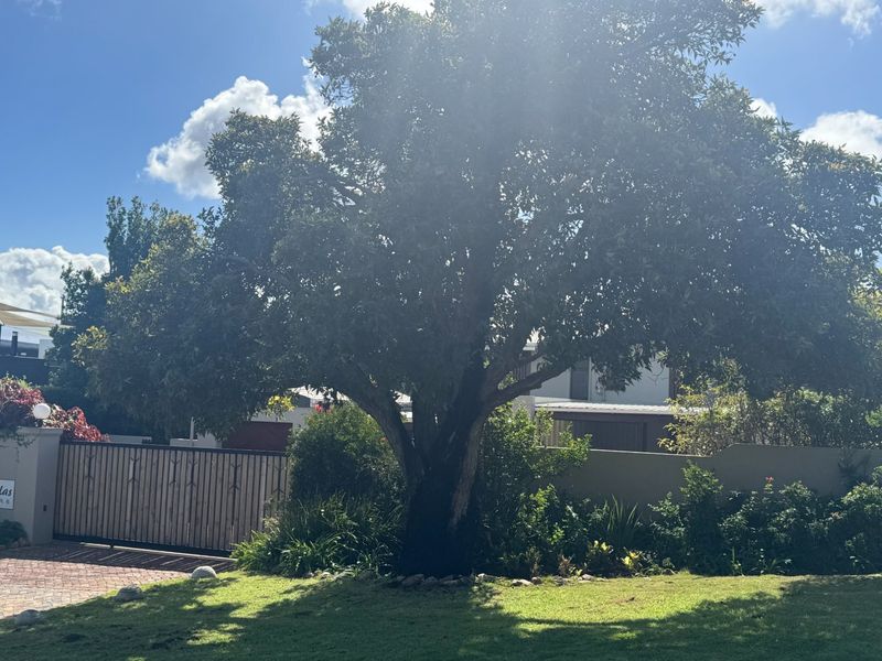 Spacious & Versatile Townhouse in Secure Signal Hill Estate – Exceptional Value - Photo 4