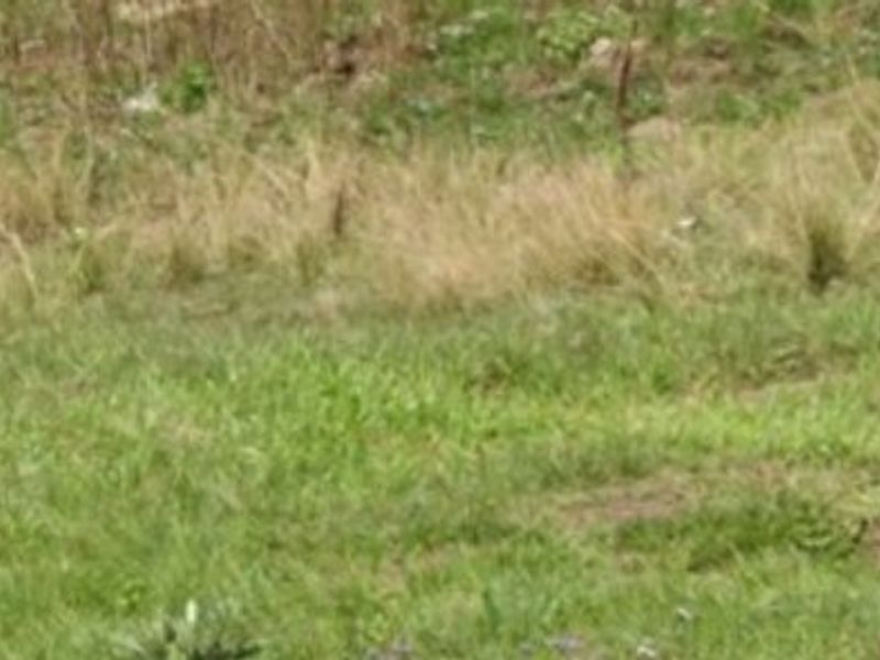 Vacant Land in Edendale - Photo 3