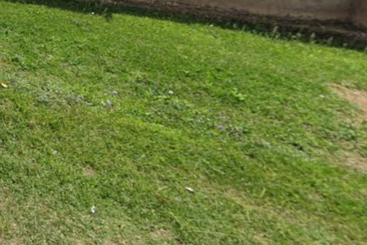 Vacant Land in Edendale - Photo 2