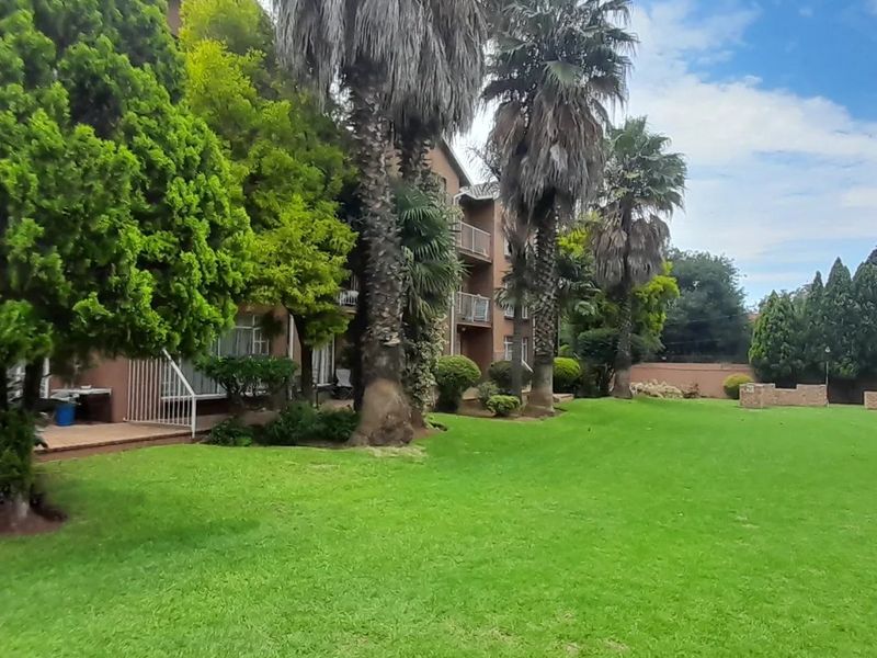 A view of the rear exterior of the townhouse complex, featuring a well-maintained lawn, mature palm trees, and a paved patio area.