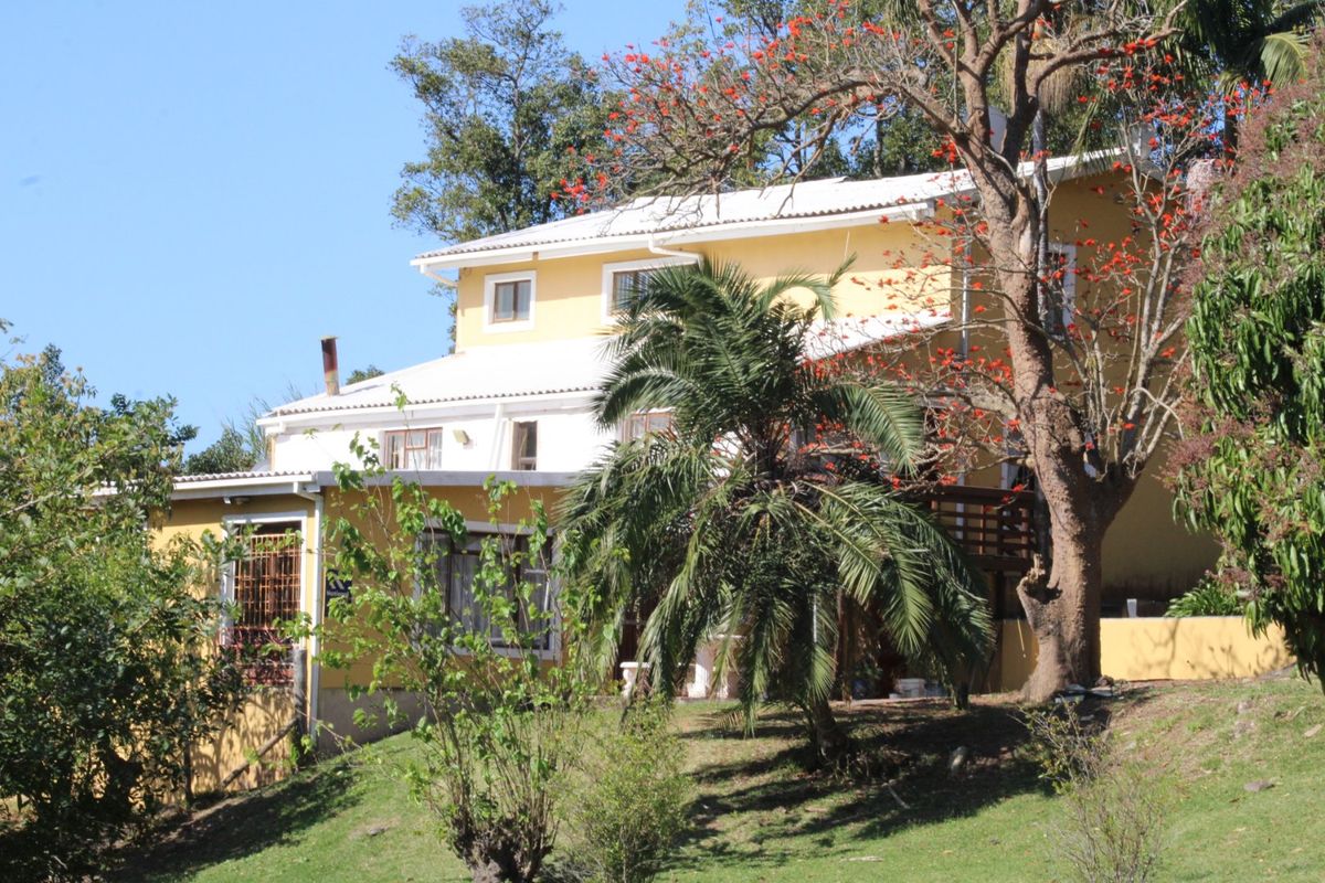 Income-Generating Smallholding | Multiple Units & Commercial Use | Port Edward - Photo 3