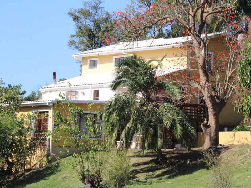 Income-Generating Smallholding | Multiple Units & Commercial Use | Port Edward - Photo 3