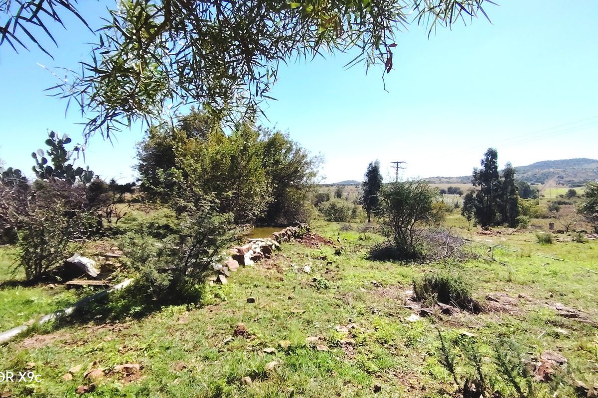 Versatile Farm with Multiple Dwellings and Outstanding Infrastructure - Photo 2